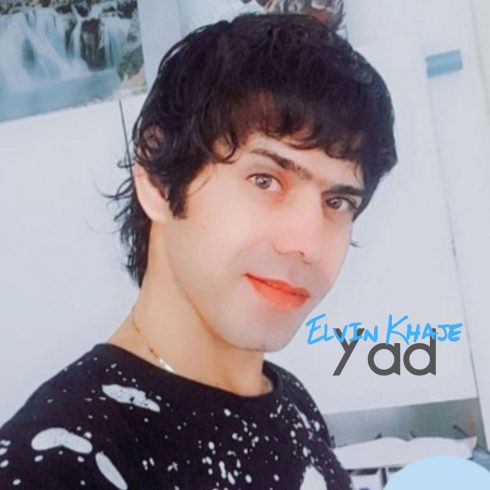 دانلود آهنگ الوین خواجه یاد